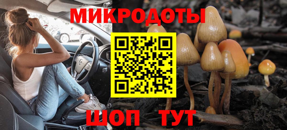 Галлюциногенные грибы ЛСД Павловский Посад